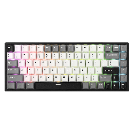 Royal Kludge RK84 – Clavier mécanique gaming 75 % RGB, édition limitée