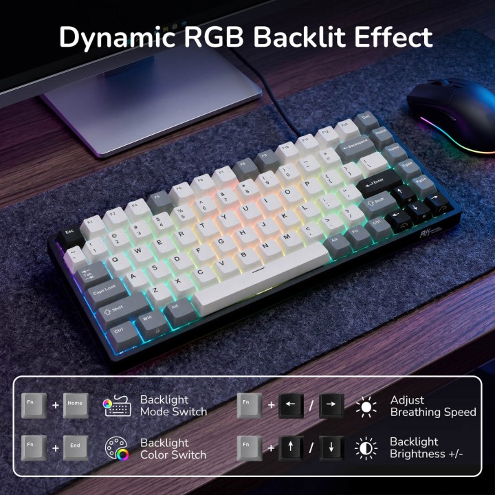 Royal Kludge RK84 – Clavier mécanique gaming 75 % RGB, édition limitée