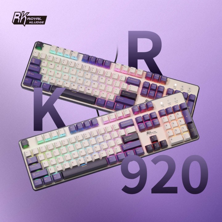 Royal Kludge RK920 – Clavier mécanique full size filaire, édition Color-Block