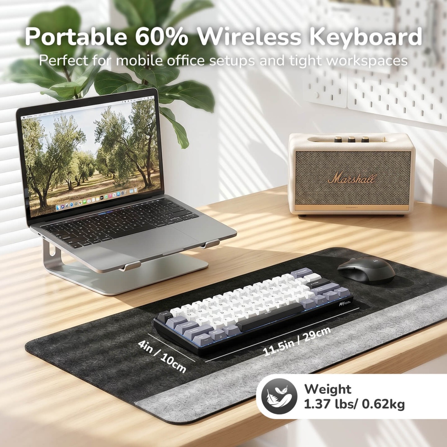 Royal Kludge RK61 – clavier mécanique sans fil 60 % (édition Color-Block)