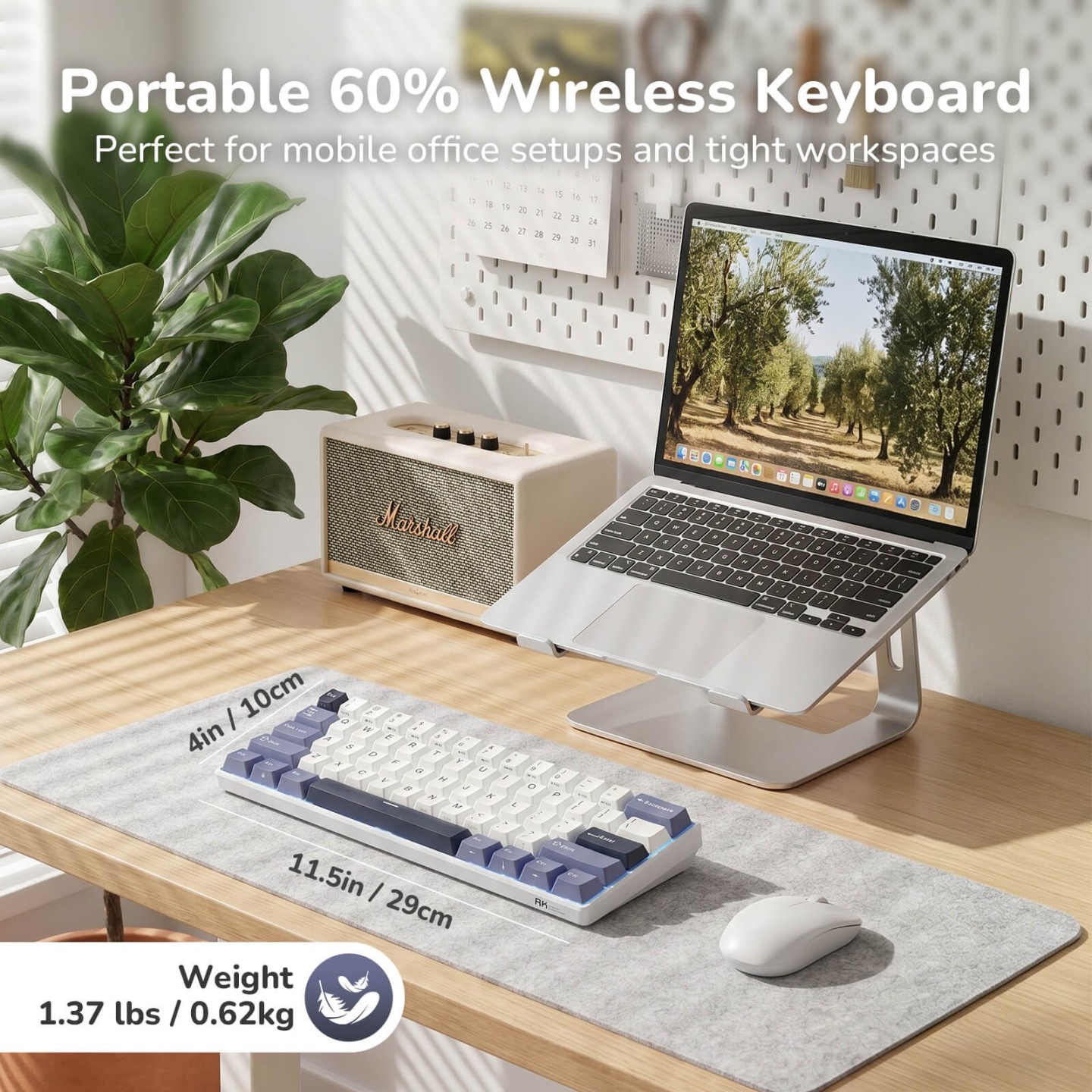 Royal Kludge RK61 – clavier mécanique sans fil 60 % (édition Color-Block)