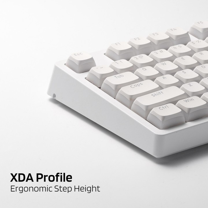 Royal Kludge x LTC – Set de 117 keycaps Pudding PBT double shot, profil XDA