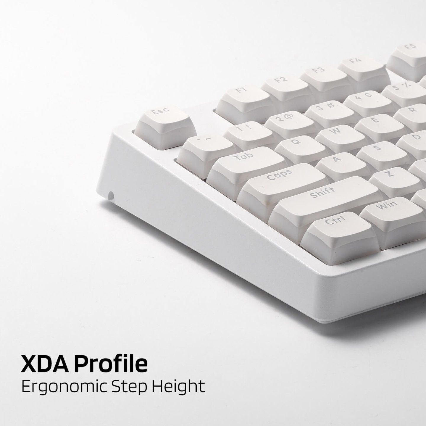 Royal Kludge x LTC – Set de 117 keycaps Pudding PBT double shot, profil XDA