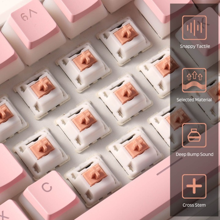 Royal Kludge RK x LTC Panda – switches tactiles pour clavier DIY, lot de 30