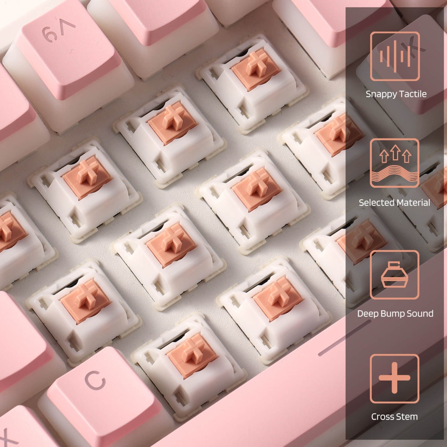 Royal Kludge RK x LTC Panda – switches tactiles pour clavier DIY, lot de 30