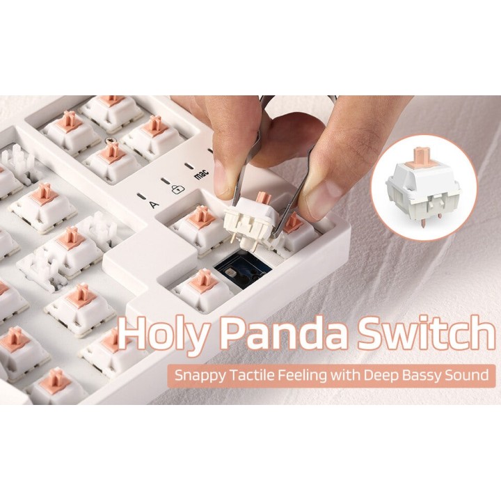 Royal Kludge RK x LTC Panda – switches tactiles pour clavier DIY, lot de 30