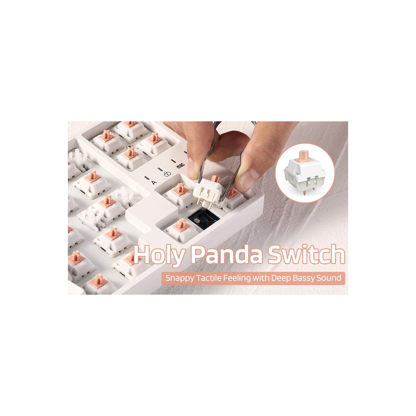 Royal Kludge RK x LTC Panda – switches tactiles pour clavier DIY, lot de 30