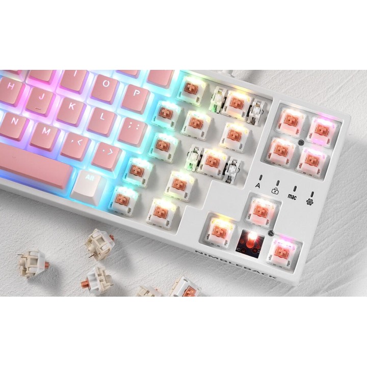 Royal Kludge RK x LTC Panda – switches tactiles pour clavier DIY, lot de 30