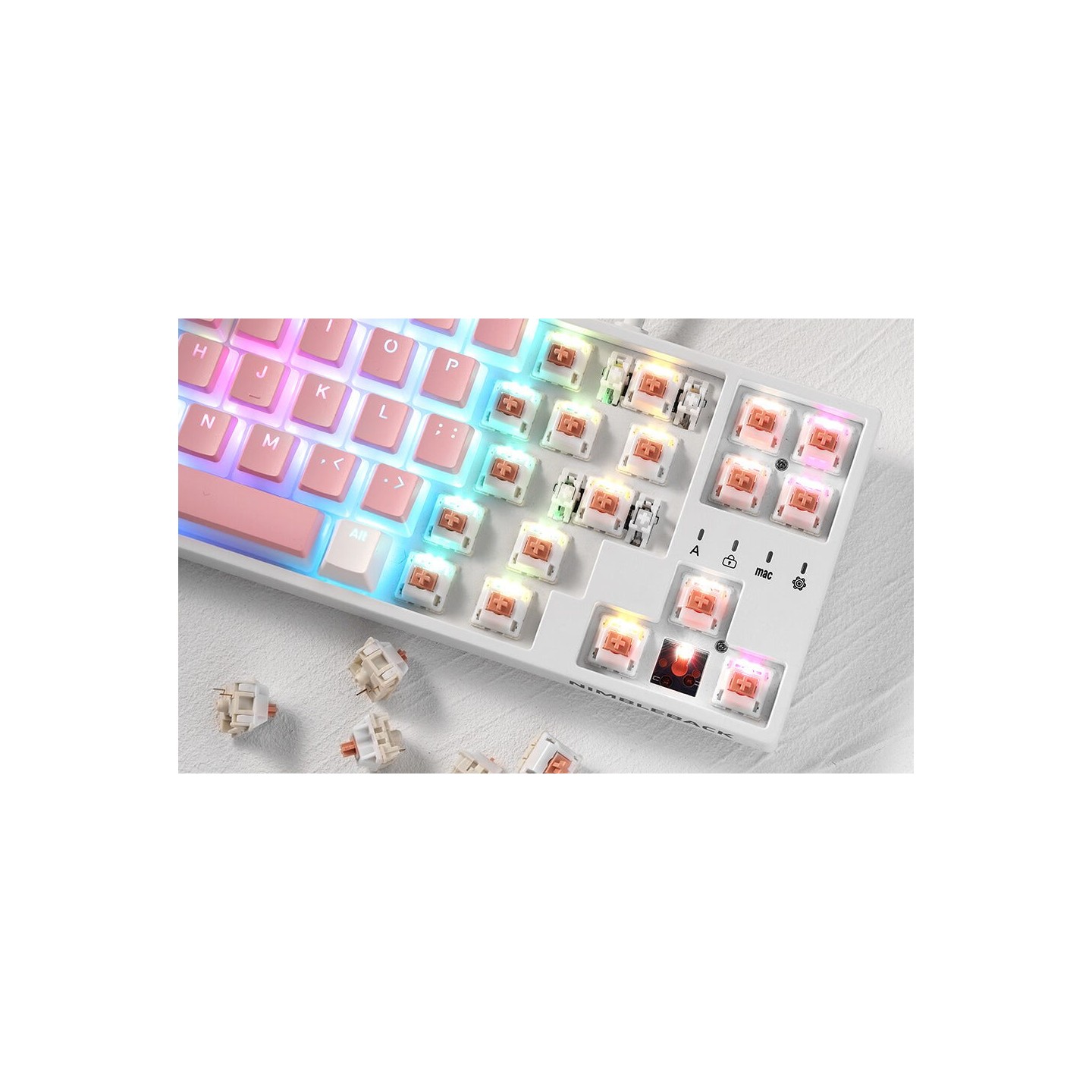 Royal Kludge RK x LTC Panda – switches tactiles pour clavier DIY, lot de 30