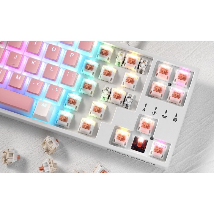 Royal Kludge RK x LTC Panda – switches tactiles pour clavier DIY, lot de 30