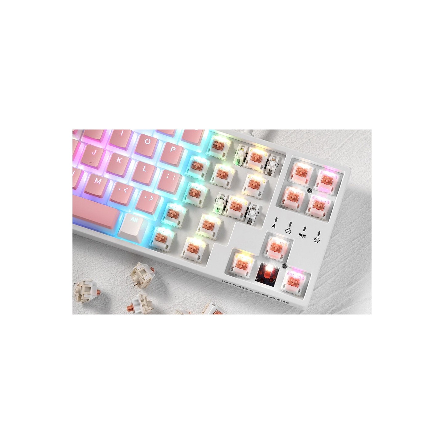 Royal Kludge RK x LTC Panda – switches tactiles pour clavier DIY, lot de 30