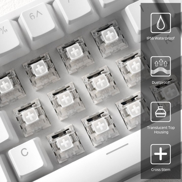 Royal Kludge x LTC – Switches Kailh Box White clicky et tactiles, lot de 30