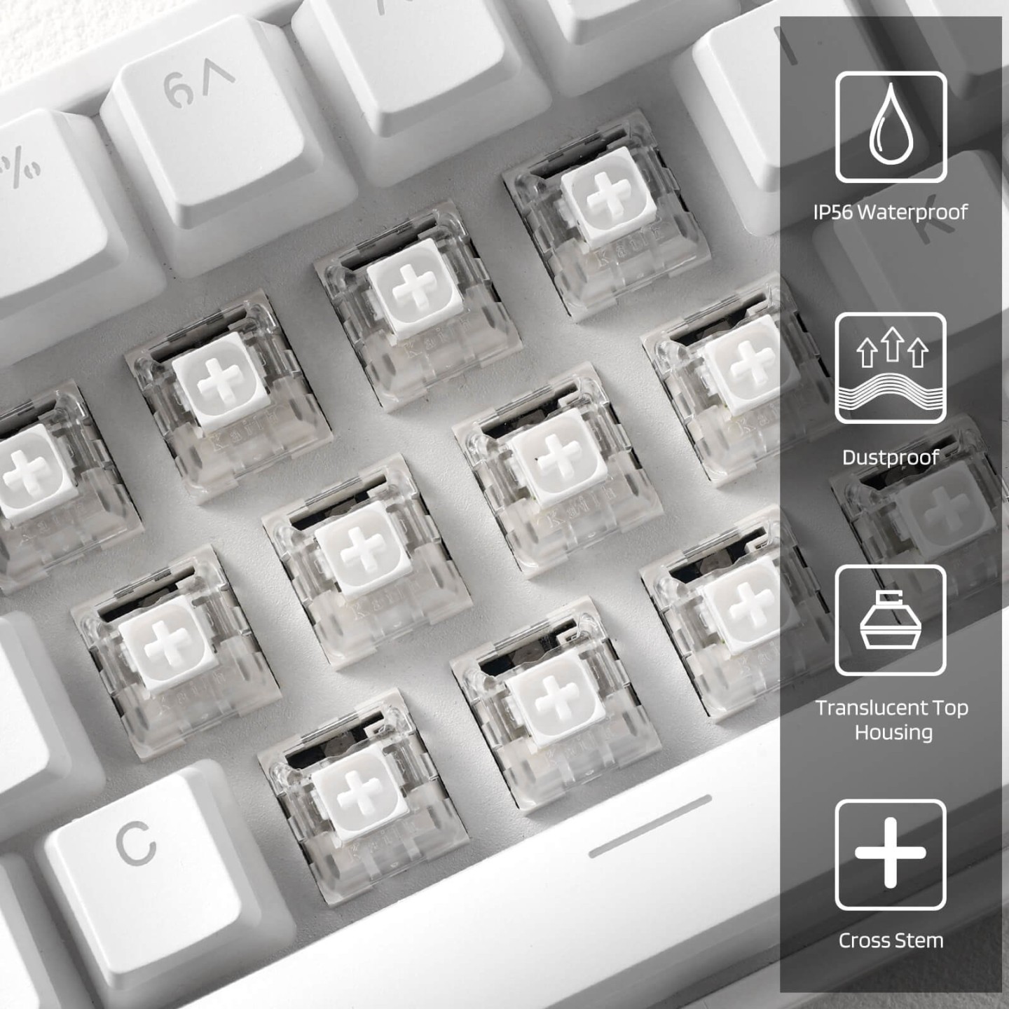 Royal Kludge x LTC – Switches Kailh Box White clicky et tactiles, lot de 30
