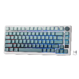 Royal Kludge M75 – clavier gaming sans fil 75 % (keycaps PBT à impression latérale)