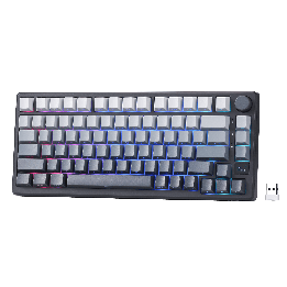 Royal Kludge M75 – clavier gaming sans fil 75 % (keycaps PBT à impression latérale)