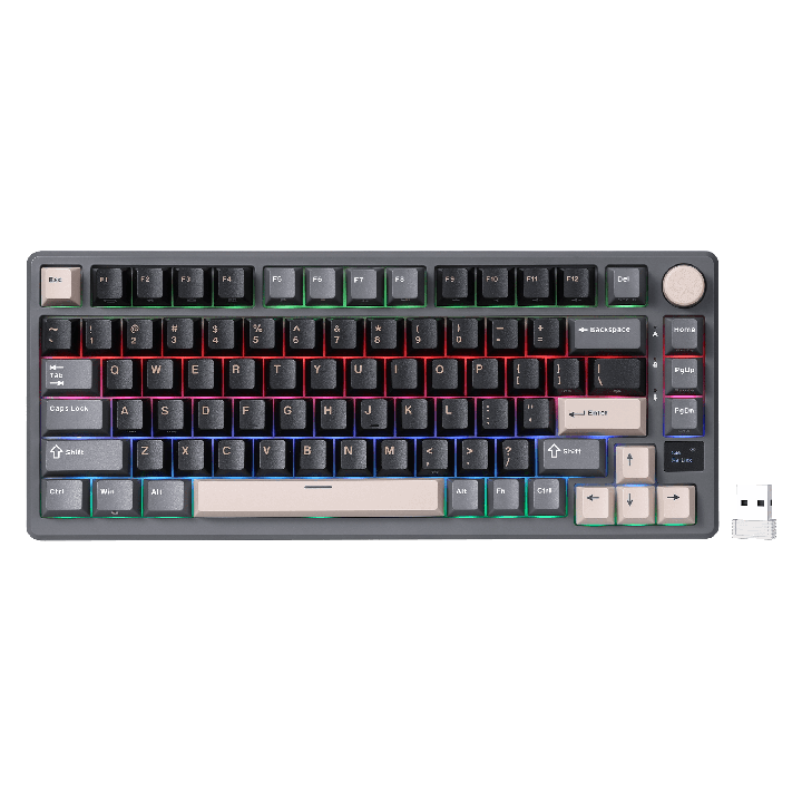 Royal Kludge M75 – clavier gaming sans fil 75 % à montage gasket