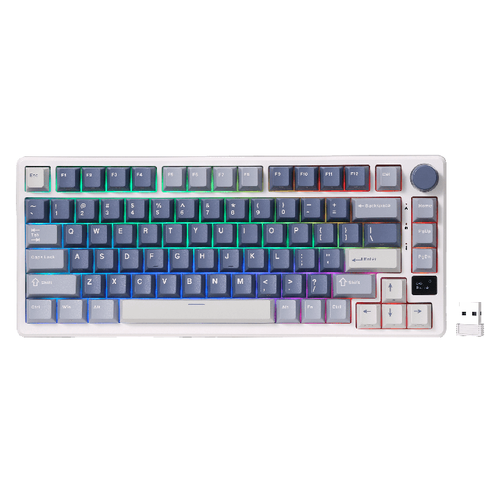 Royal Kludge M75 – clavier gaming sans fil 75 % à montage gasket