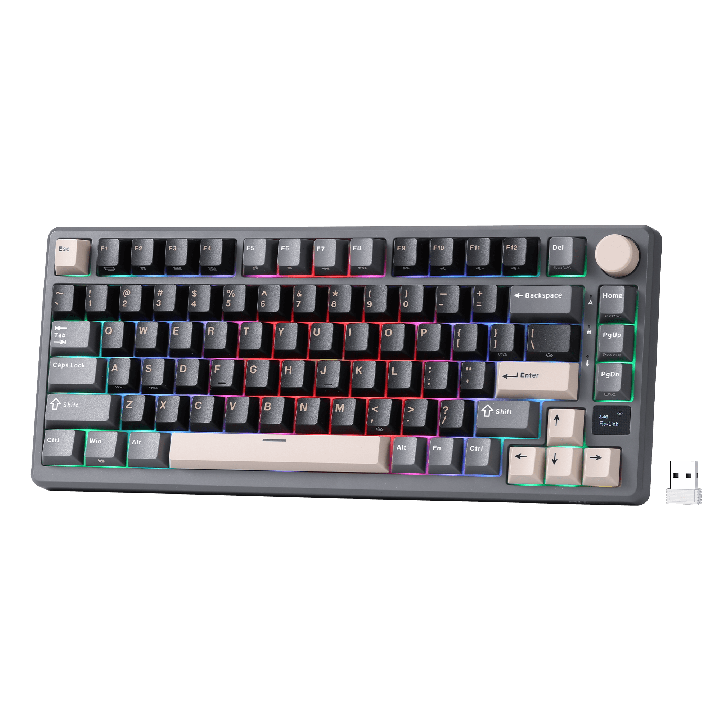 Royal Kludge M75 – clavier gaming sans fil 75 % à montage gasket