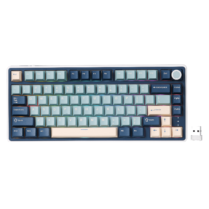 Royal Kludge R75 – Clavier gaming sans fil 75 % (QMK/VIA)