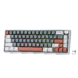Royal Kludge R65 – clavier gaming sans fil 65 % à montage gasket (QMK/VIA)