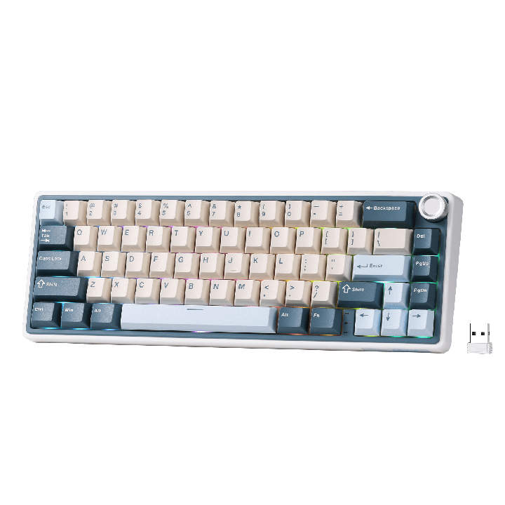 Royal Kludge R65 – clavier gaming sans fil 65 % à montage gasket (QMK/VIA)
