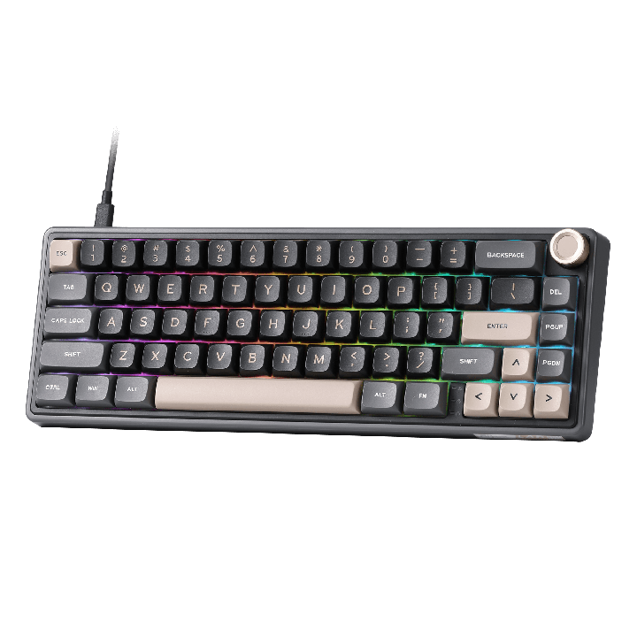 Royal Kludge R65 – Clavier gaming filaire 65 % à montage gasket (QMK/VIA)