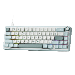 Royal Kludge R65 – Clavier gaming filaire 65 % à montage gasket (QMK/VIA)
