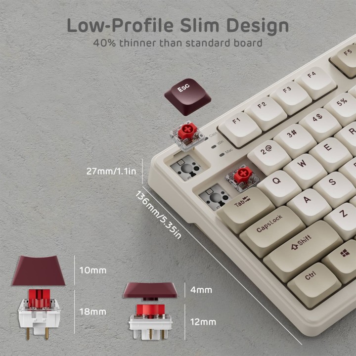 Royal Kludge N80 – Clavier mécanique low profile sans fil avec écran et molette