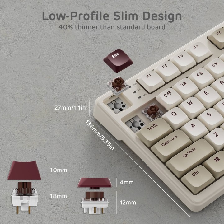 Royal Kludge N80 – Clavier mécanique low profile sans fil avec écran et molette