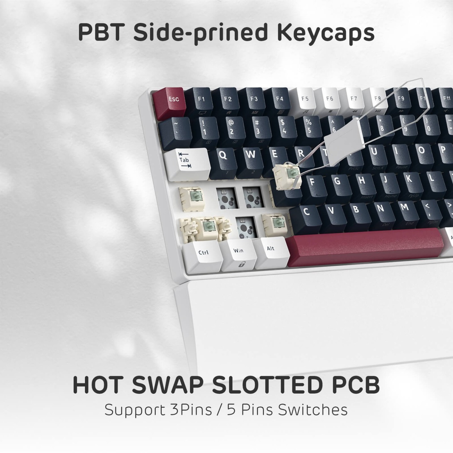 Royal Kludge RK96 – Clavier mécanique 96 % sans fil tri-mode, hot-swap RGB