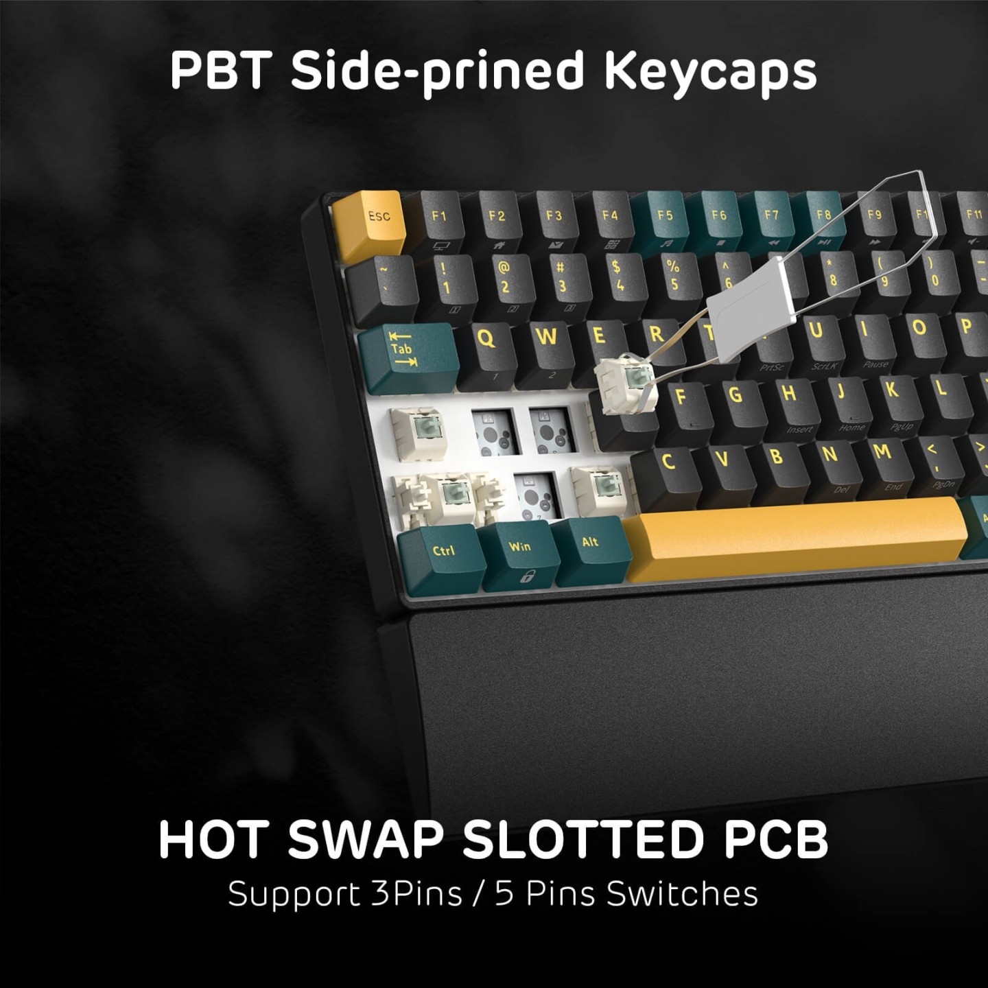 Royal Kludge RK96 – Clavier mécanique 96 % sans fil tri-mode, hot-swap RGB