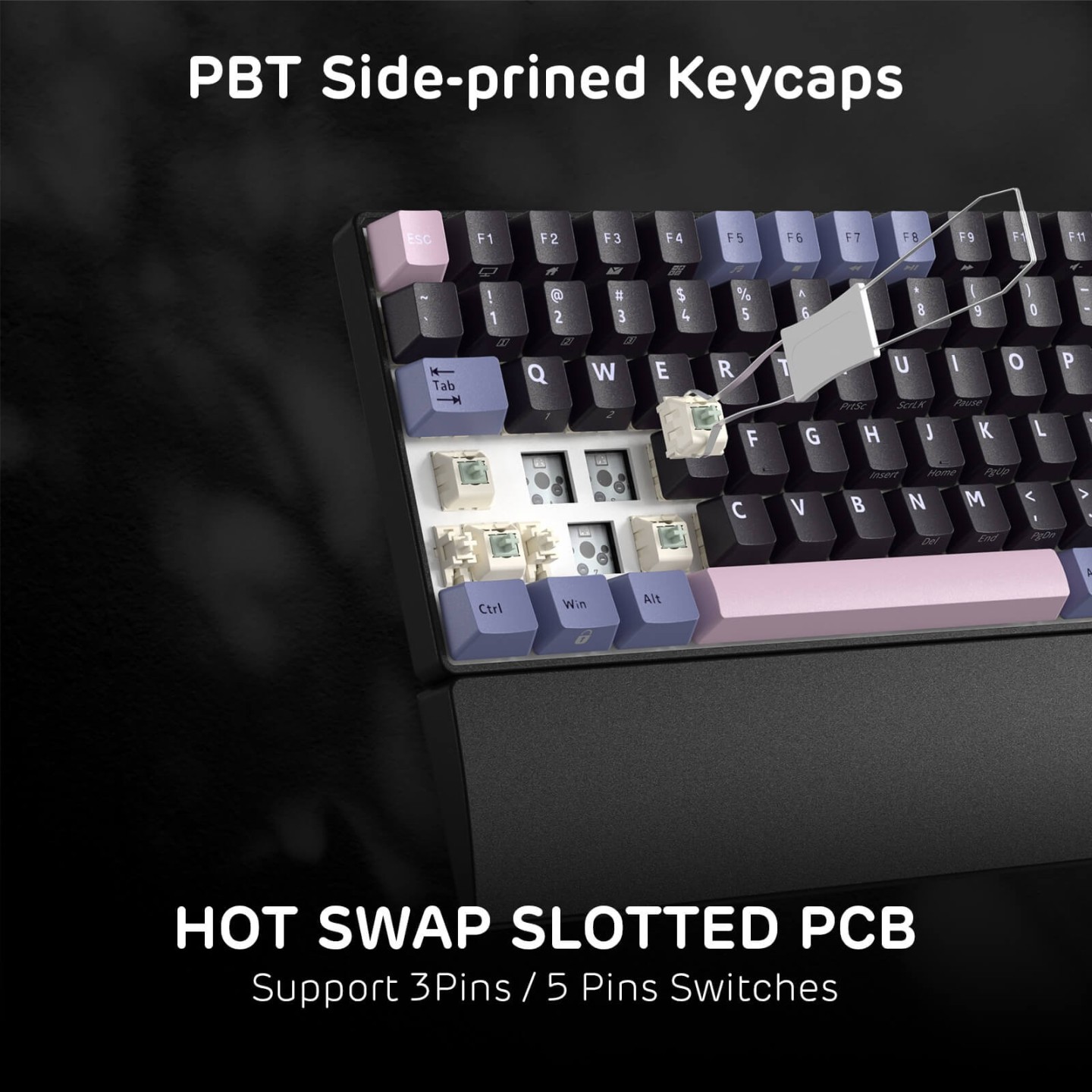Royal Kludge RK96 – Clavier mécanique 96 % sans fil tri-mode, hot-swap RGB