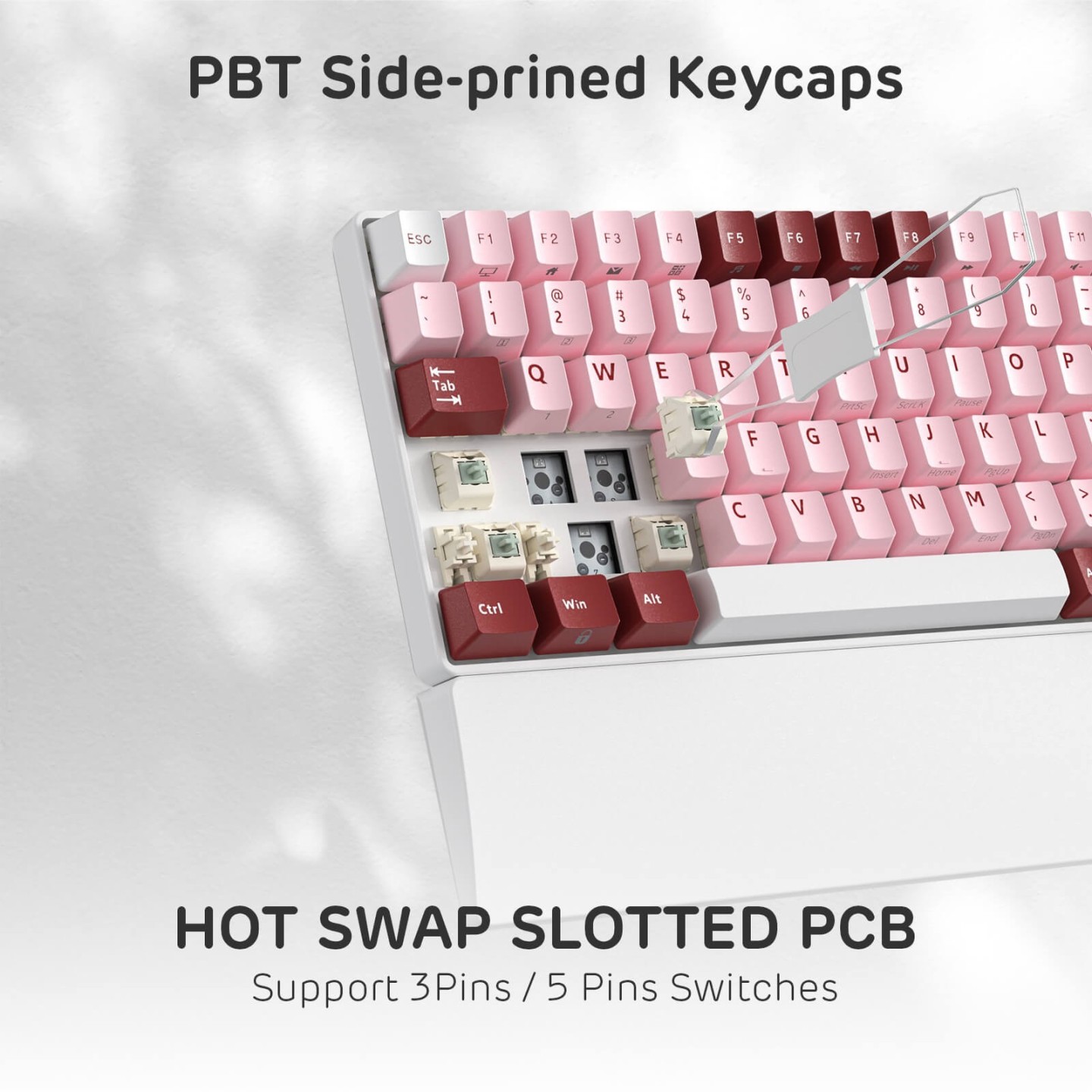 Royal Kludge RK96 – Clavier mécanique 96 % sans fil tri-mode, hot-swap RGB