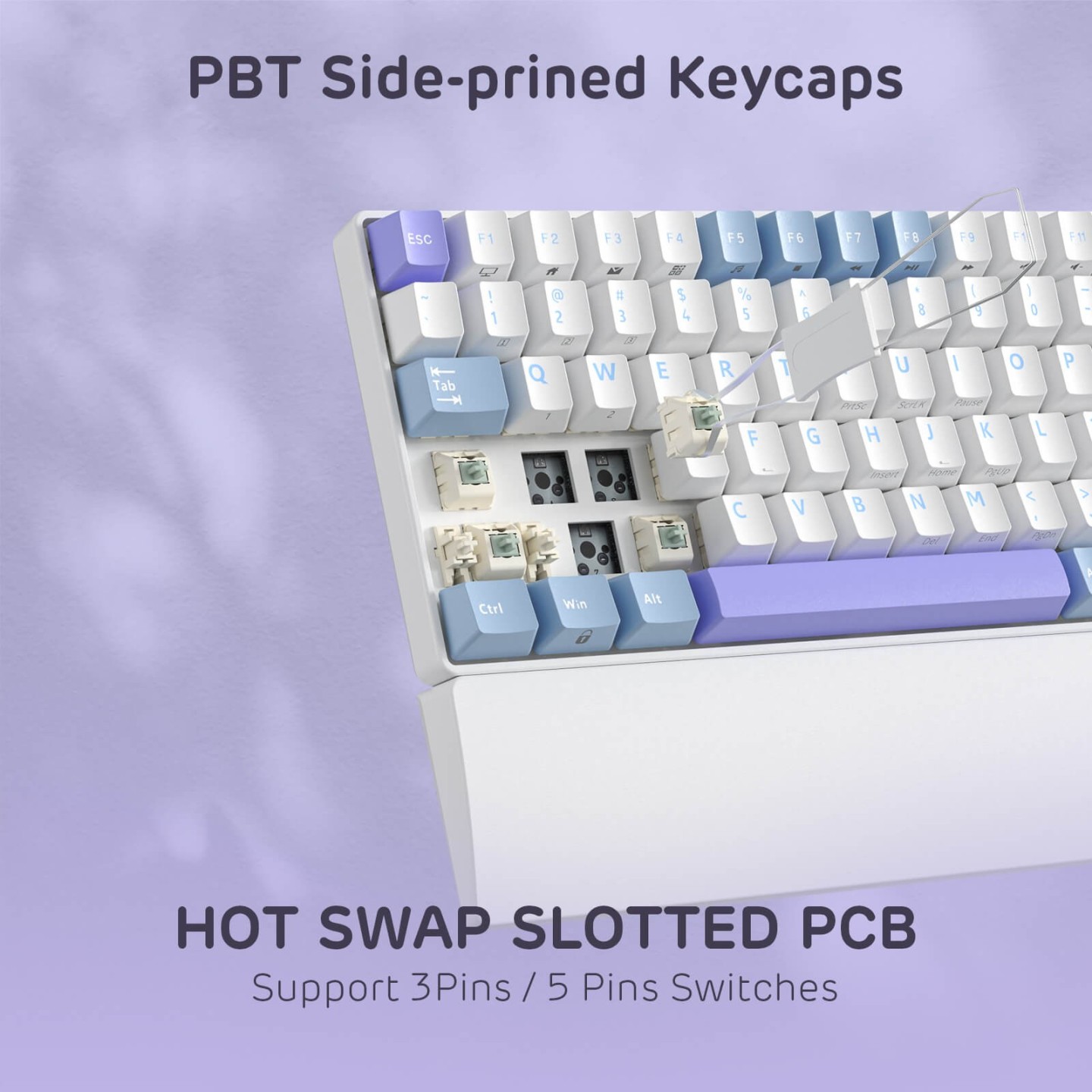 Royal Kludge RK96 – Clavier mécanique 96 % sans fil tri-mode, hot-swap RGB