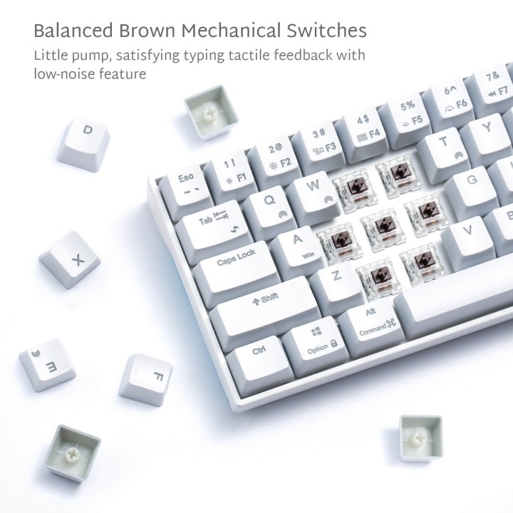 Royal Kludge RK71 – clavier mécanique sans fil 70 % (switch Brown)
