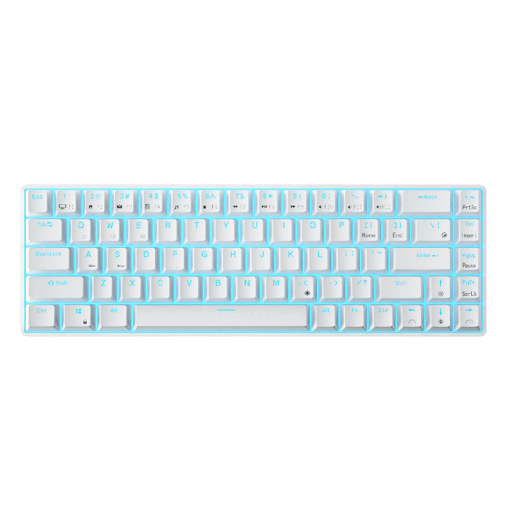 Royal Kludge RK68 – clavier mécanique sans fil 65 % (rétroéclairage monochrome)