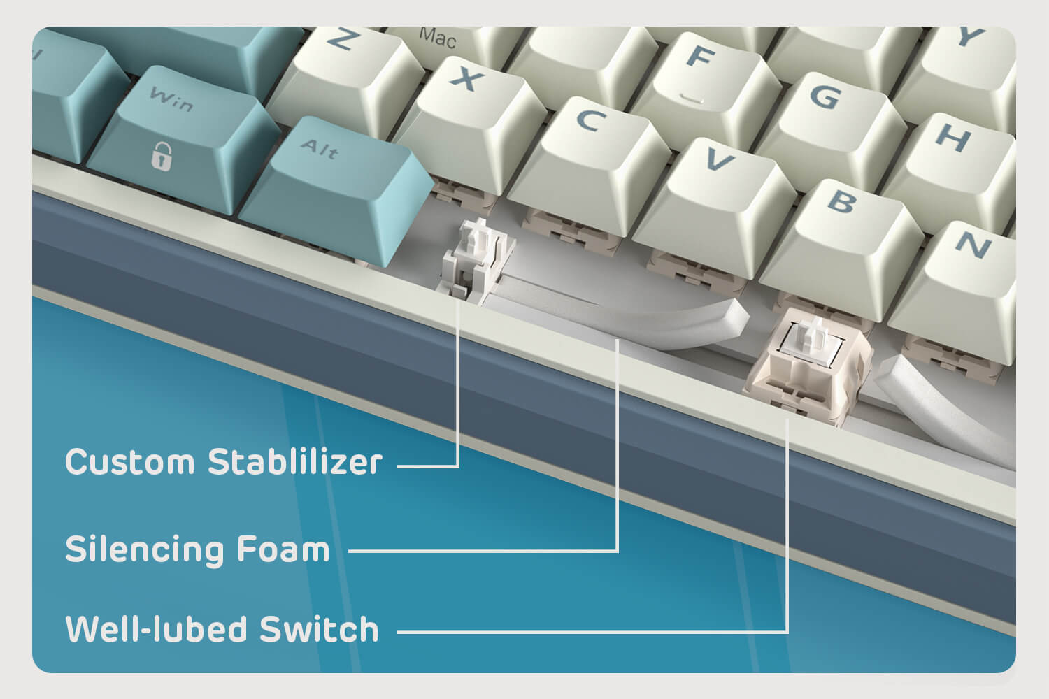 Switches bien lubrifiés et stabilisateurs personnalisés