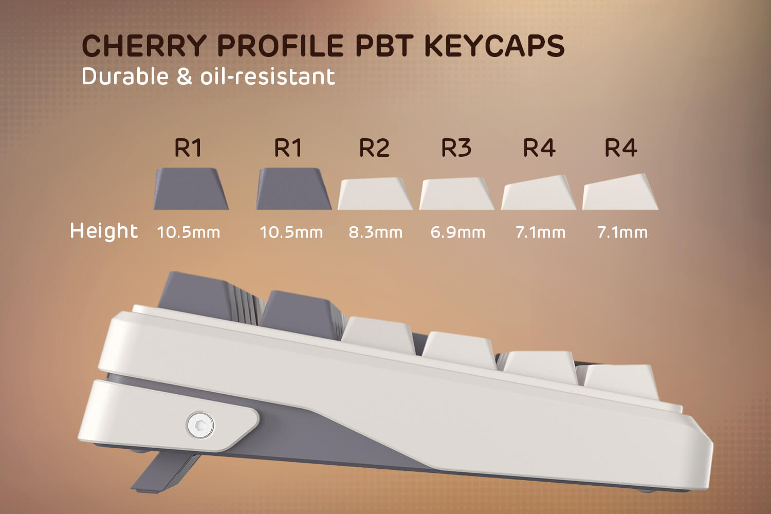 Structure gasket et keycaps PBT